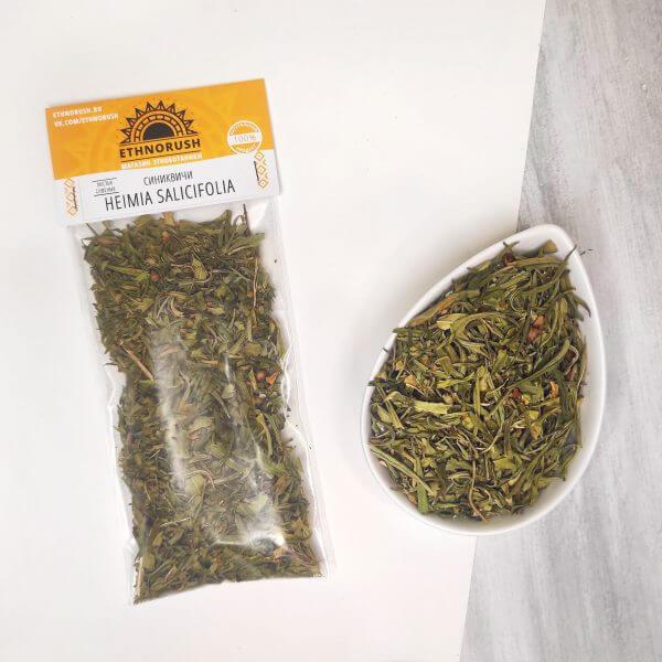 Купить Хеймия Синиквичи / Heimia salicifolia (Sinicuichi)