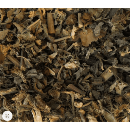 Купить Оптом - Дурман Индийский, семенные коробочки (Datura Metel, seed boxes)