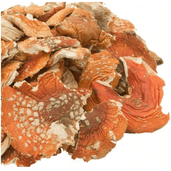 Купить Оптом - Мухомор сушеный Красный, шляпки ломаные, сбор 2023 года (Amanita Muscaria)