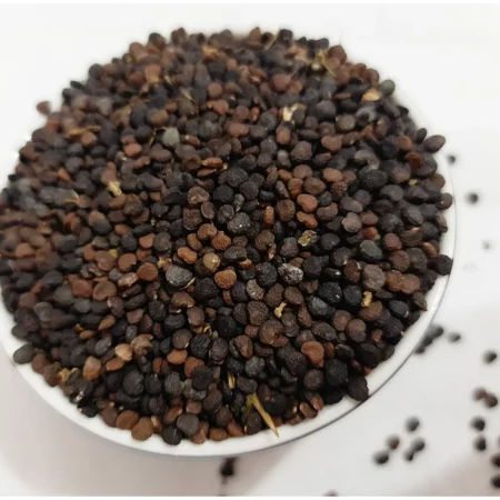 Купить Дурман Индийский, семена/коробочки (Datura Metel)